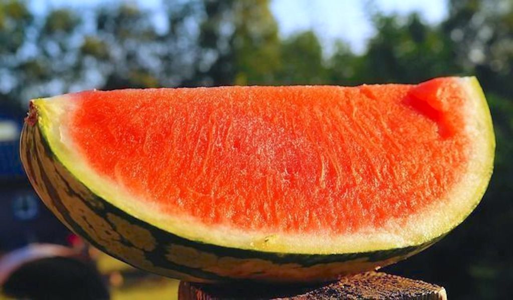 Ripe slice of watermelon welcomes visitors to the annual Hope Watermelon Festival in Hope, Arkansas.