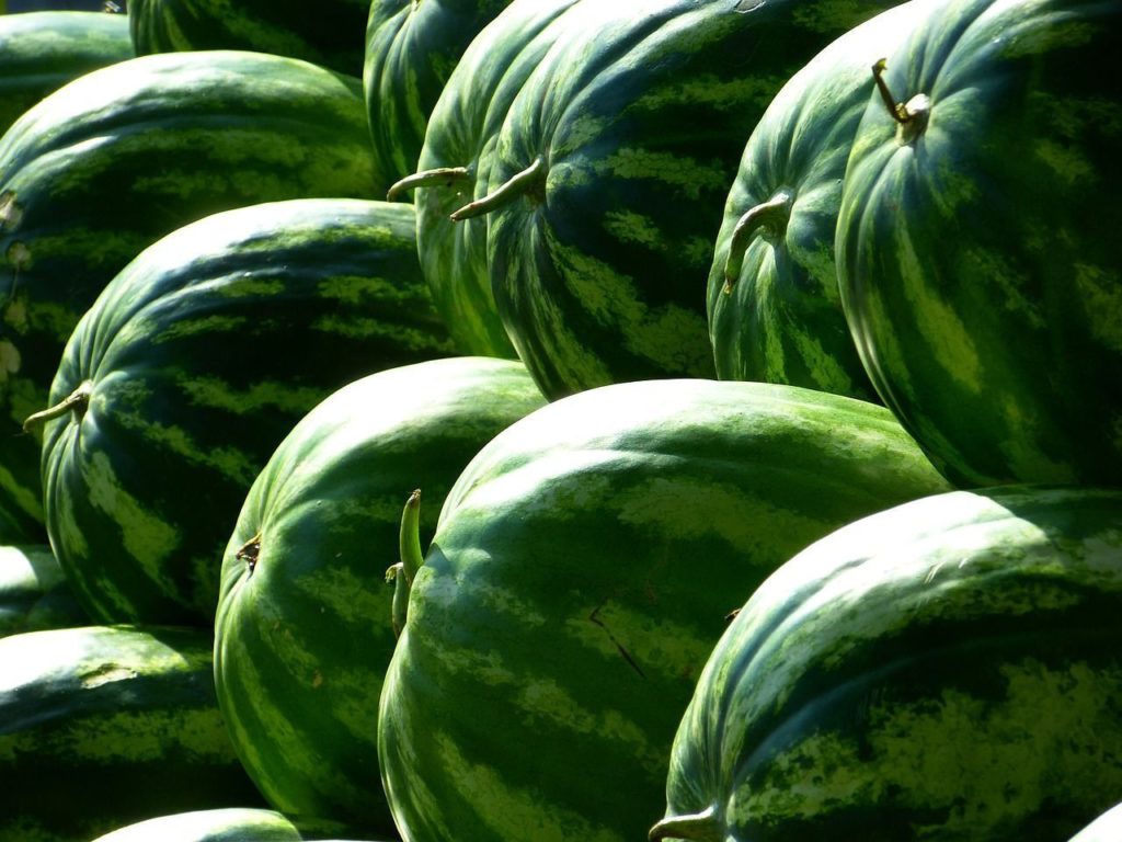 pile of watermelons