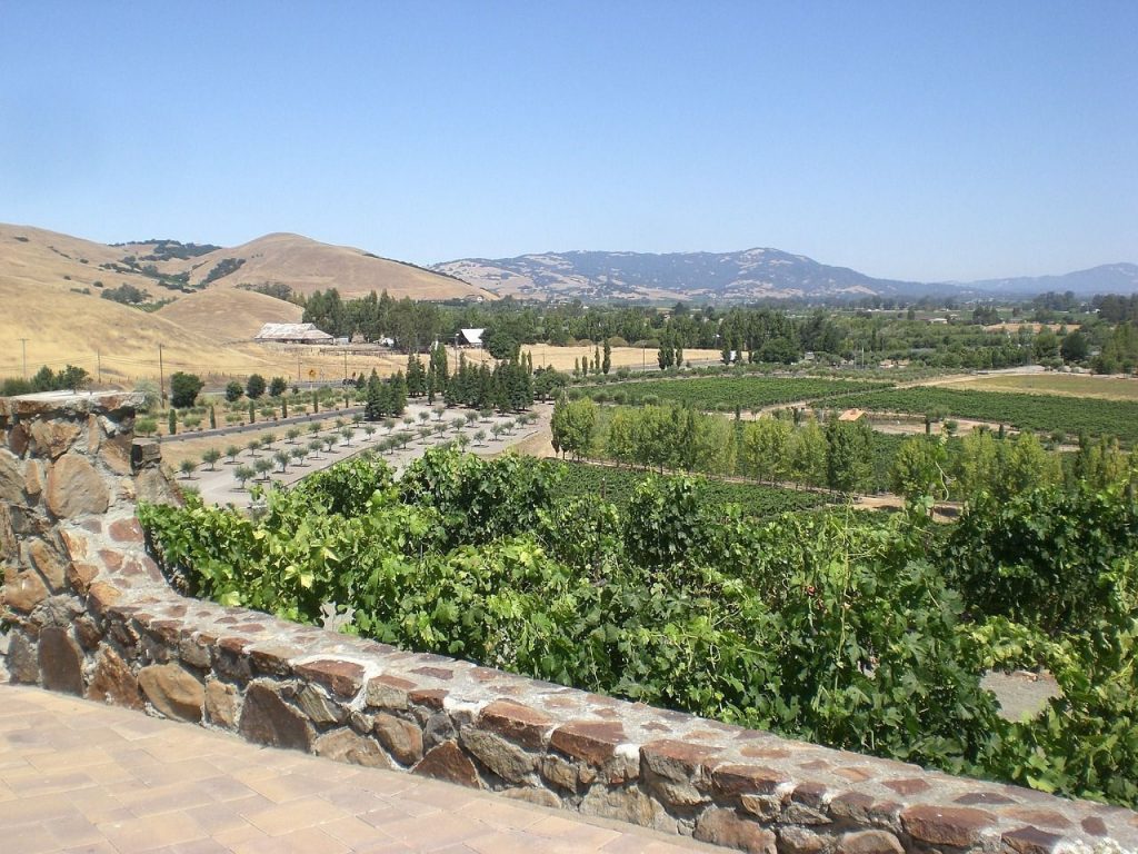 A Napa Valley winery.