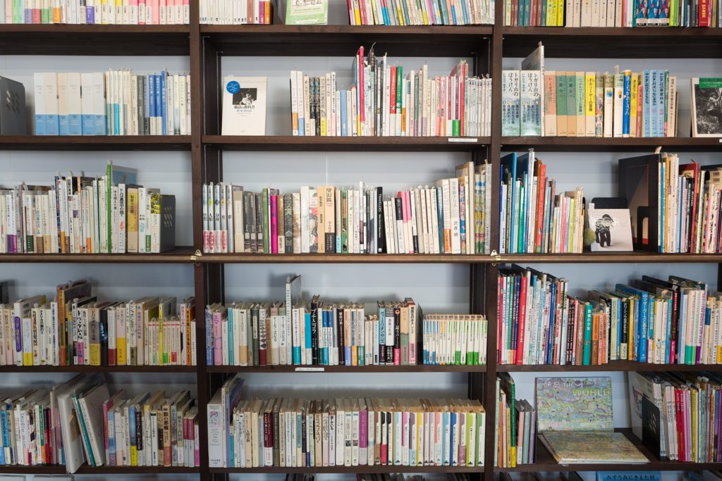 bookshelves full of books