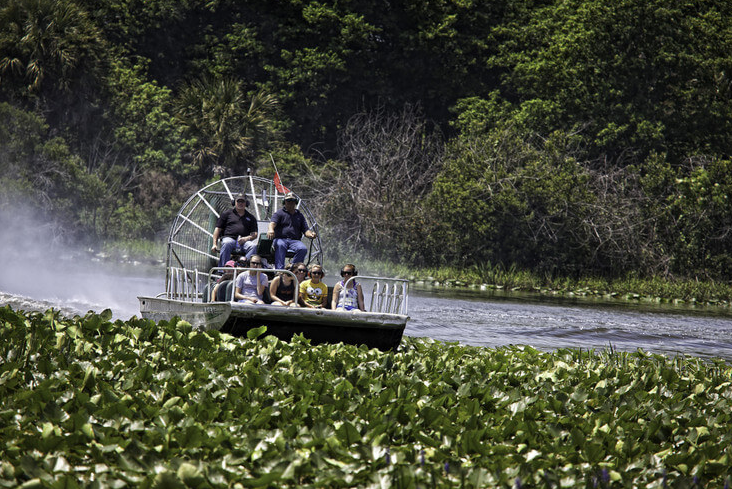 Explore Florida's Unique Ecology with a Swamp Buggy Ride at Westgate River Ranch & Rodeo