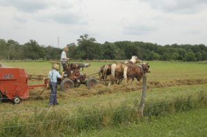 A Pennsylvania Dutch farm being tended to by Amish farmers.
