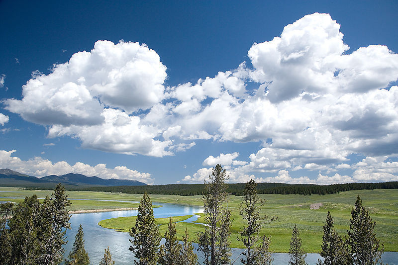 Yellowstone National park