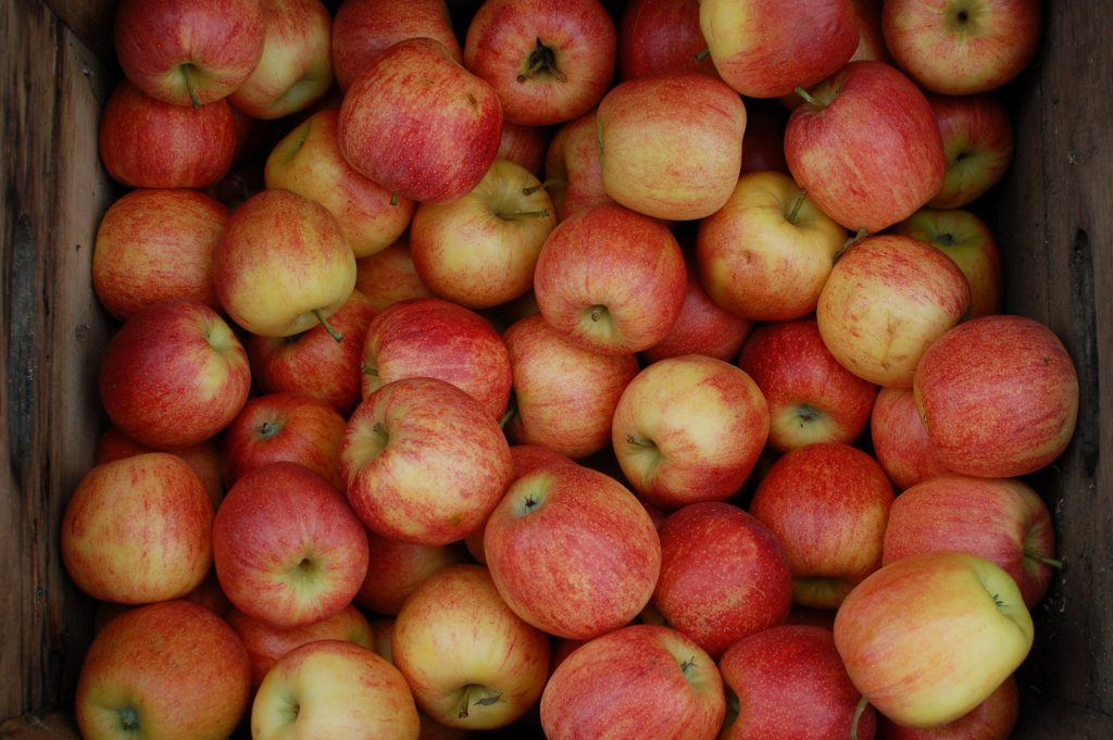 barrel of apples