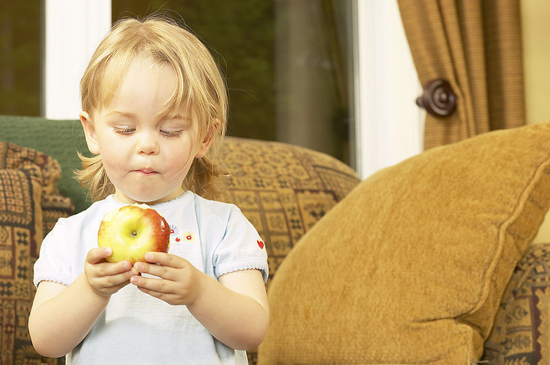 boy holds apple