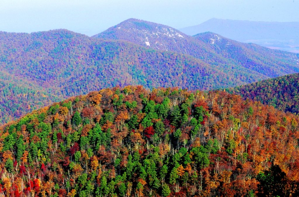 Shenandoah National Park seen from the Big Run Overlook. Photo c. NPS