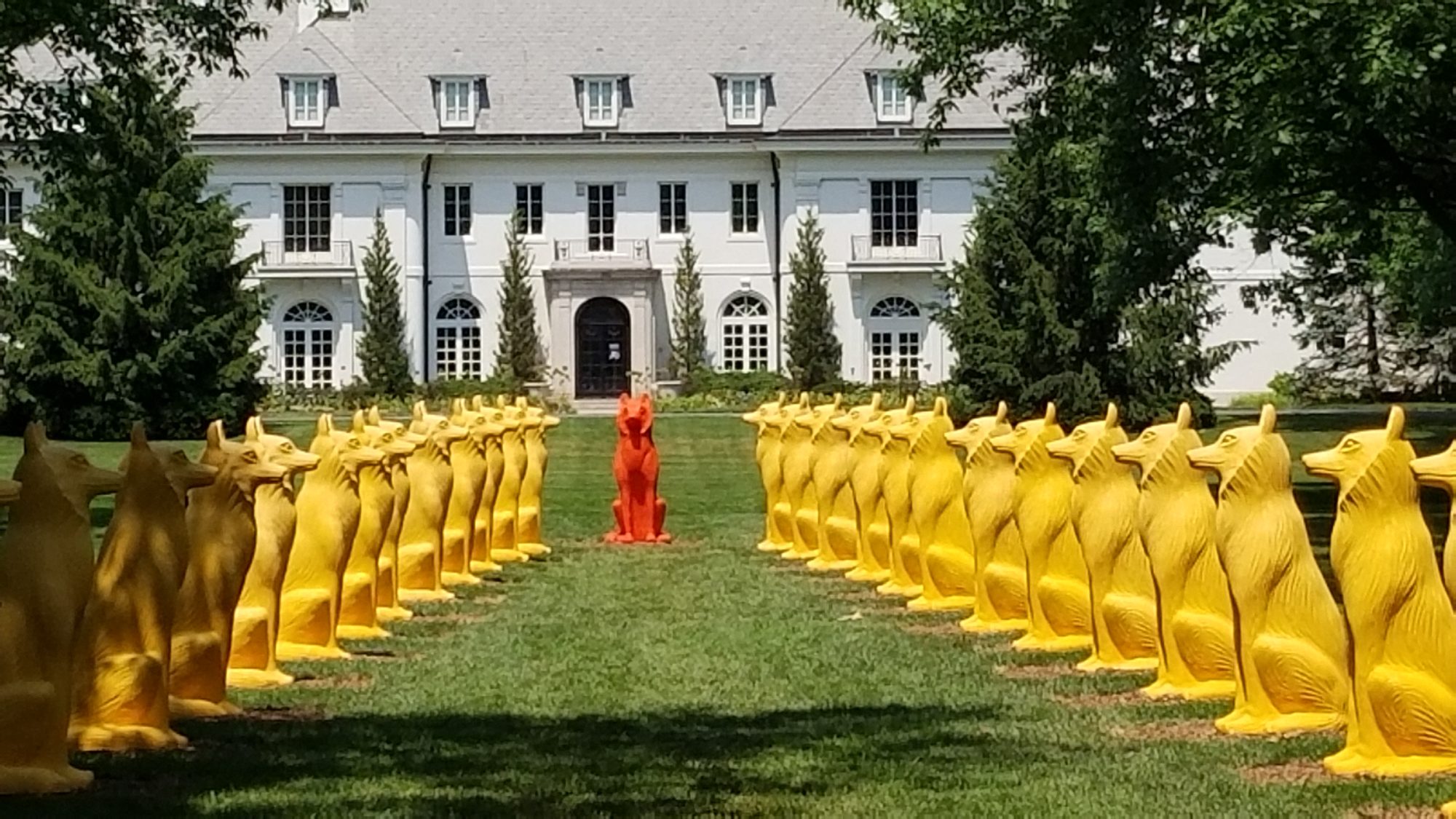 Indiana Kid Attractions
