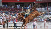 Rodeo action is non-stop. Photo by Bree Anderson, c.Cheyenne Frontier Days.