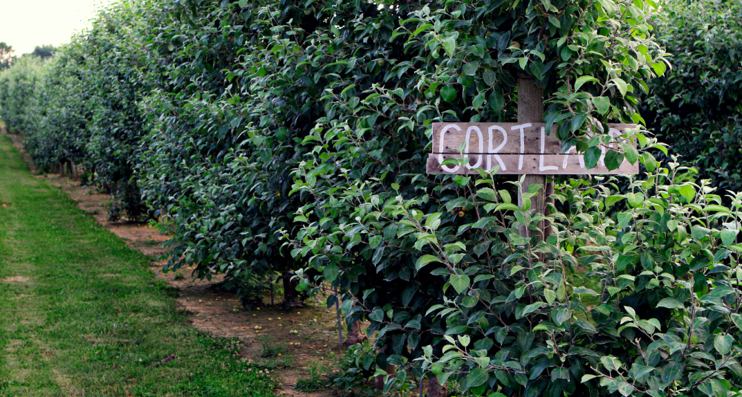 U Pick Apple Pumpkin Farms in Philadelphia Pennsylvania Area
