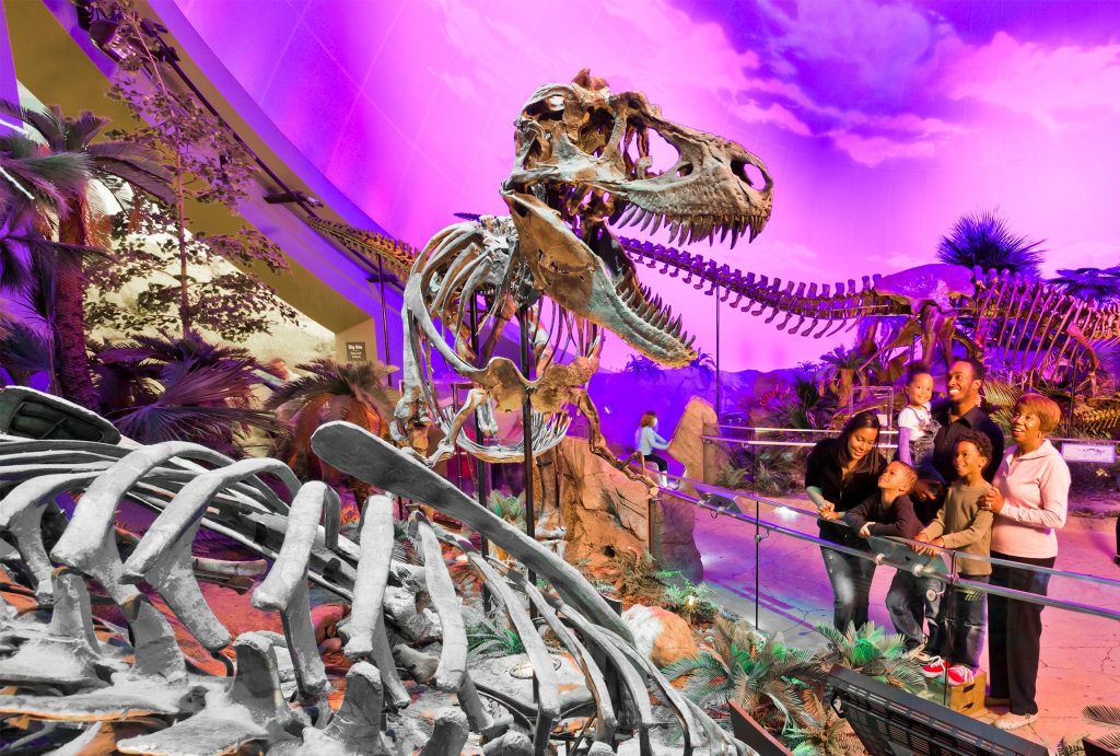 Dinosphere Gallery at The Children's Museum of Indianapolis