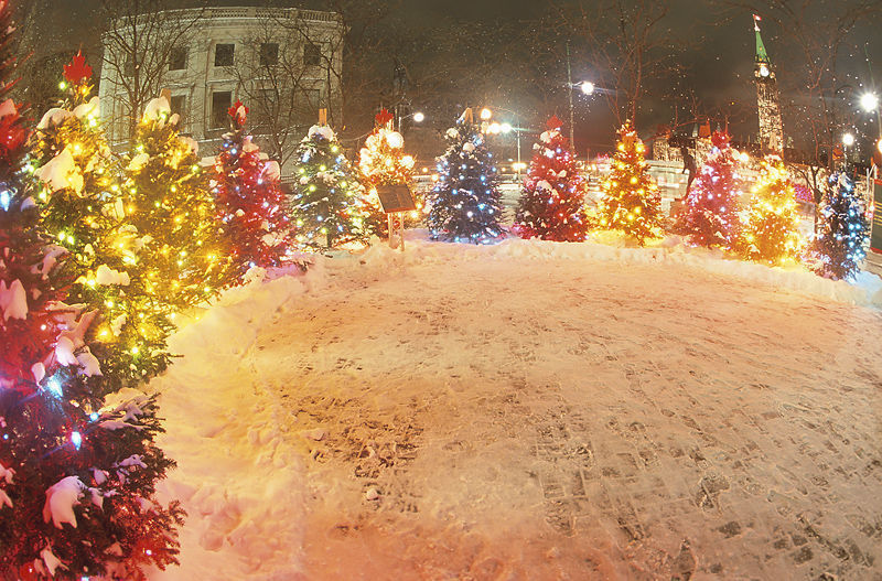 Christmas trees surround a snowy square in Germany.