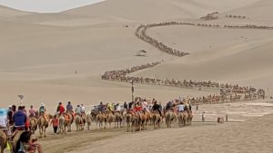 Camel caravan of thousands at Echoing Sands National Geopark, Dunhuang, China