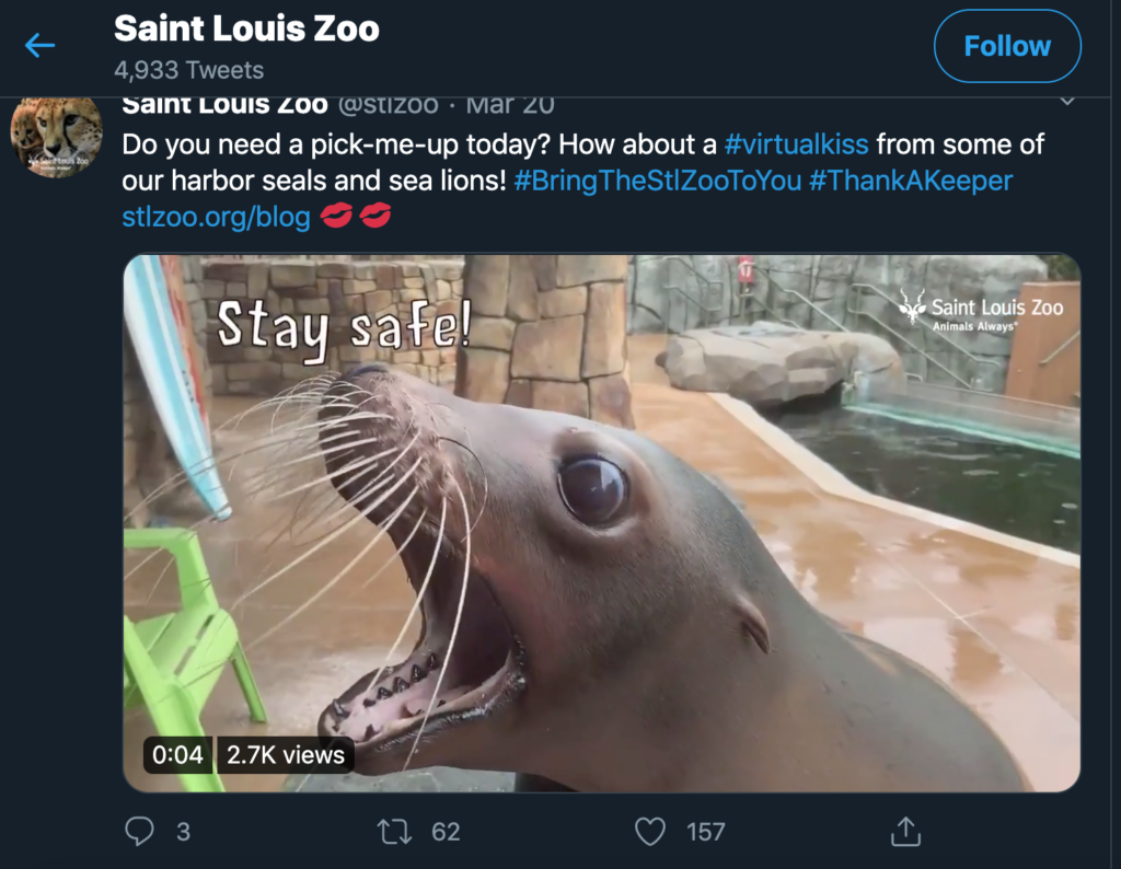 Harbor seals greet visitors on St. Louis Zoo Twitter page.