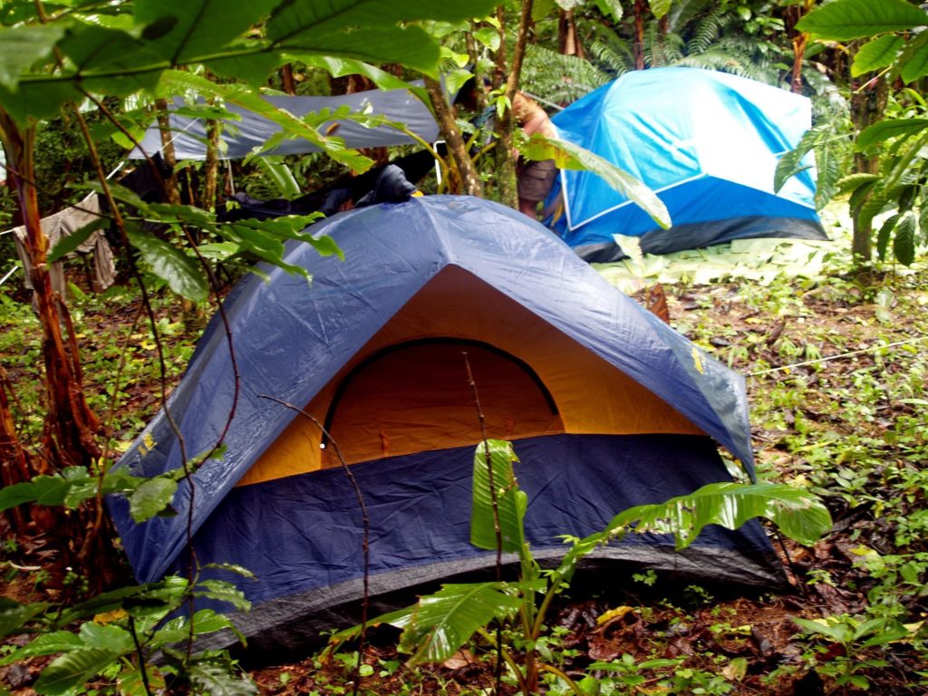 camping tents in the woods