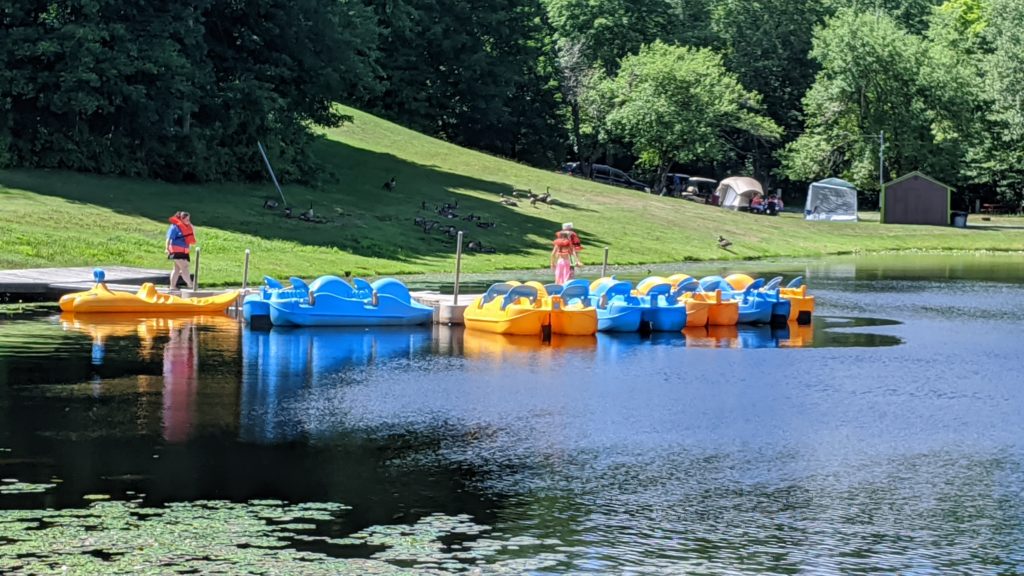 pedal boats are docked in a lake.