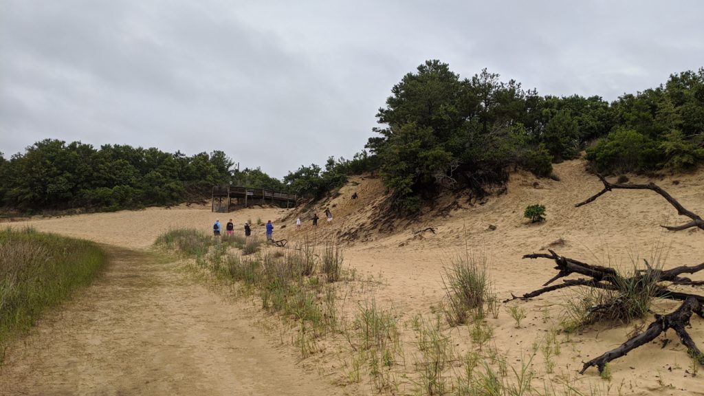 The dunes at Jockey Ridge Preserve.