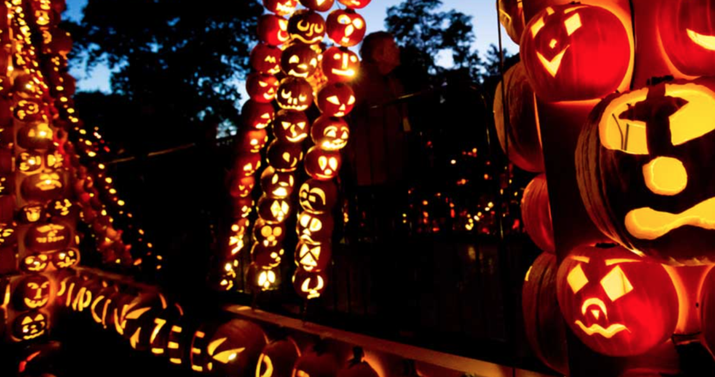 Carved pumpkins make a Pumpkin Zee Bridge at Cortland Manor's Blaze event.