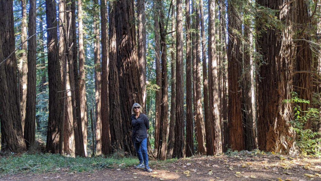 Woman on hiking trail in redwoods.