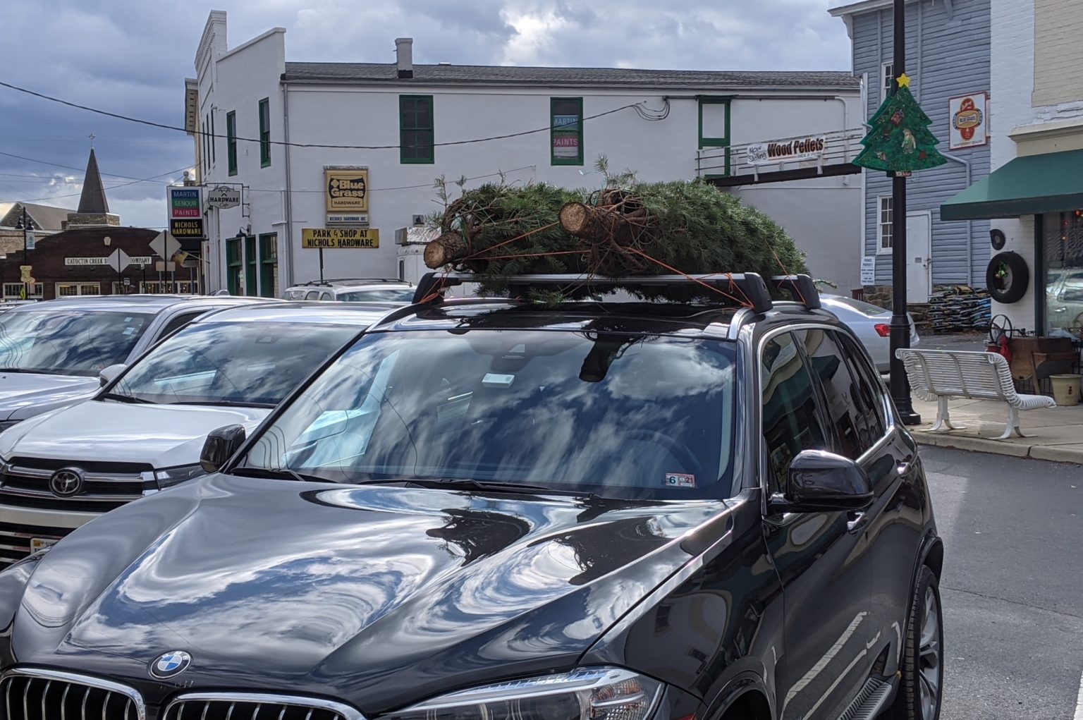 Find a U Pick Christmas Tree Farm for the Holiday Excursion