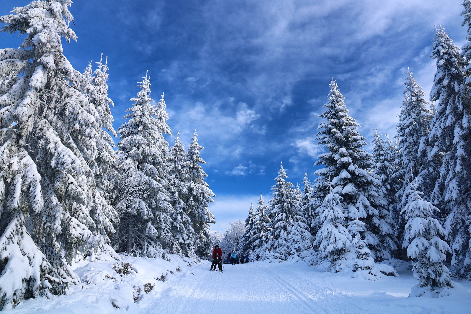 introducing-cross-country-skiing-to-kids-and-novices-of-any-age