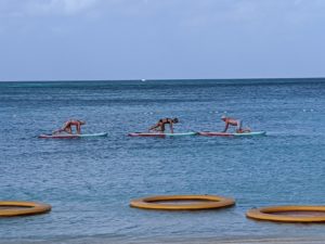 Aquarobics class on standup paddleboards off the coast of Palm Beach, Aruba.