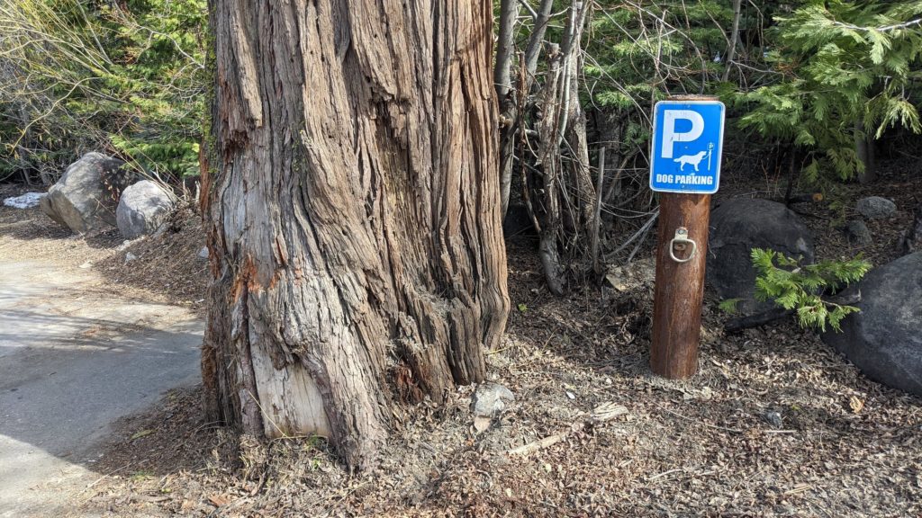 Dog parking sign in parking lot.