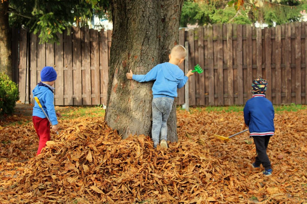 Three children playing in a pile of leaves near a tree