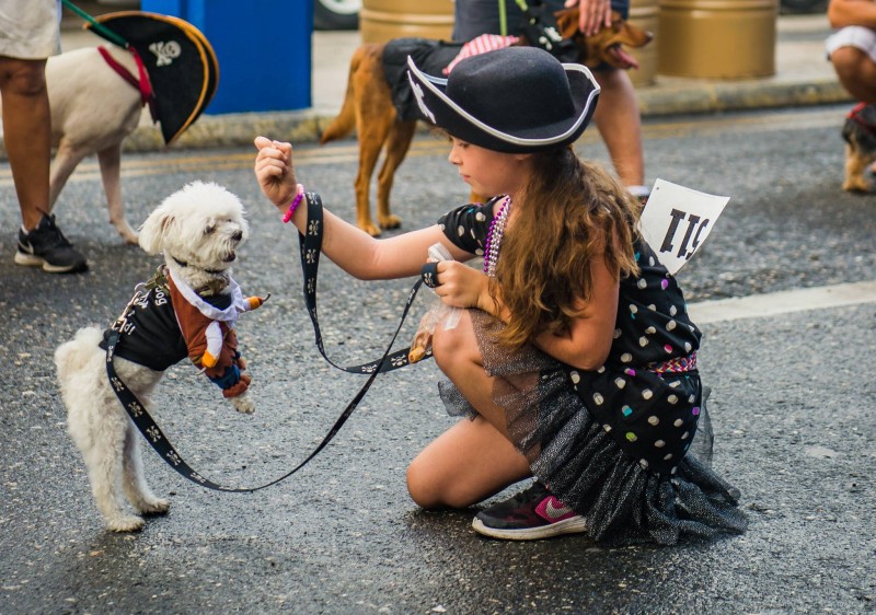 Girl with dog dressed up in pirate's outfit.