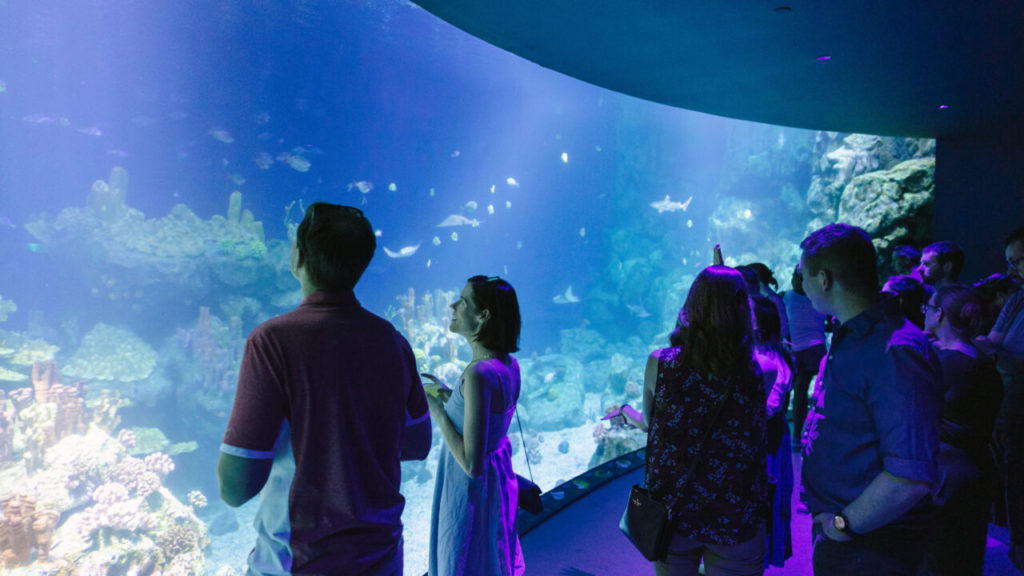 One Ocean aquairum exhibit at the Houston Zoo