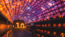 A wizard's shop of magical illuminated pumpkins at the Great Jack O'Lantern Blaze