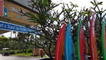A branch of the notable Hans Hedemann Surf School is located on the North Shore at Turtle Bay resort.