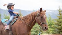 Young girl rides a brown horse at Vista Verde Ranch, Clark, Colorado.