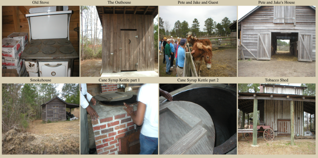 Montage of activities and sights at a tour of Freewoods Farm outside Myrtle Beach.