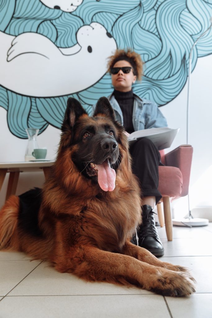 seeing eye dog waits at the foot of a blind woman seated in a chair.