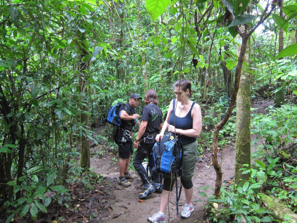 A hiking adventure in the rain forest of Puerto Rico.