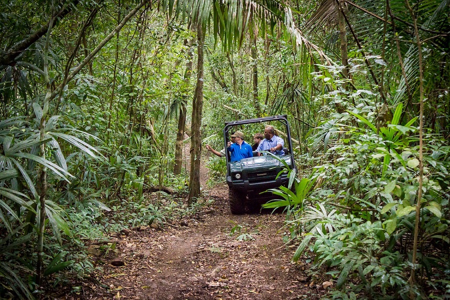 Guide drives family in a Jeep on a Rainforest Safari Tour at Lodge at Chaa Creek, Belize.