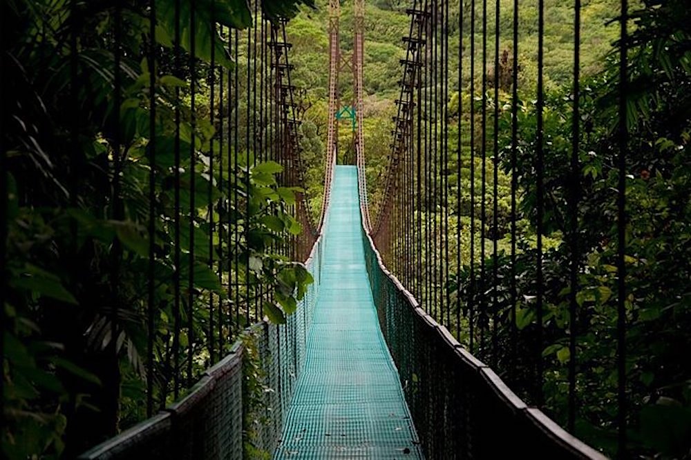 A hanging bridge at Mistico Arenal Hanging Bridges Park in Costa Rica.