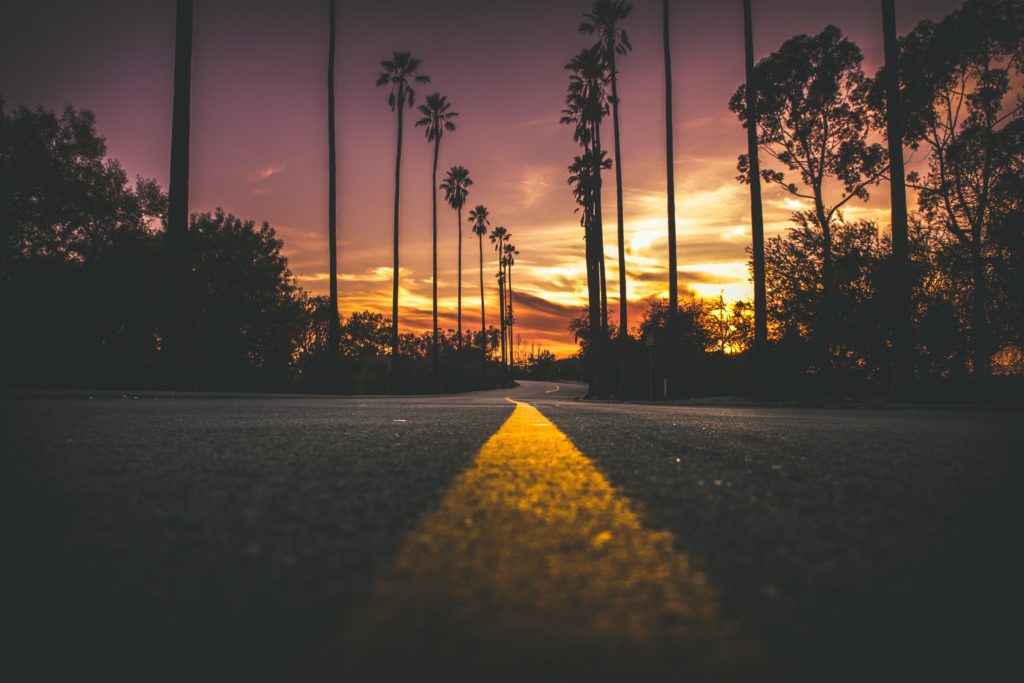 A Florida highway lined with palm trees, seen at dusk.