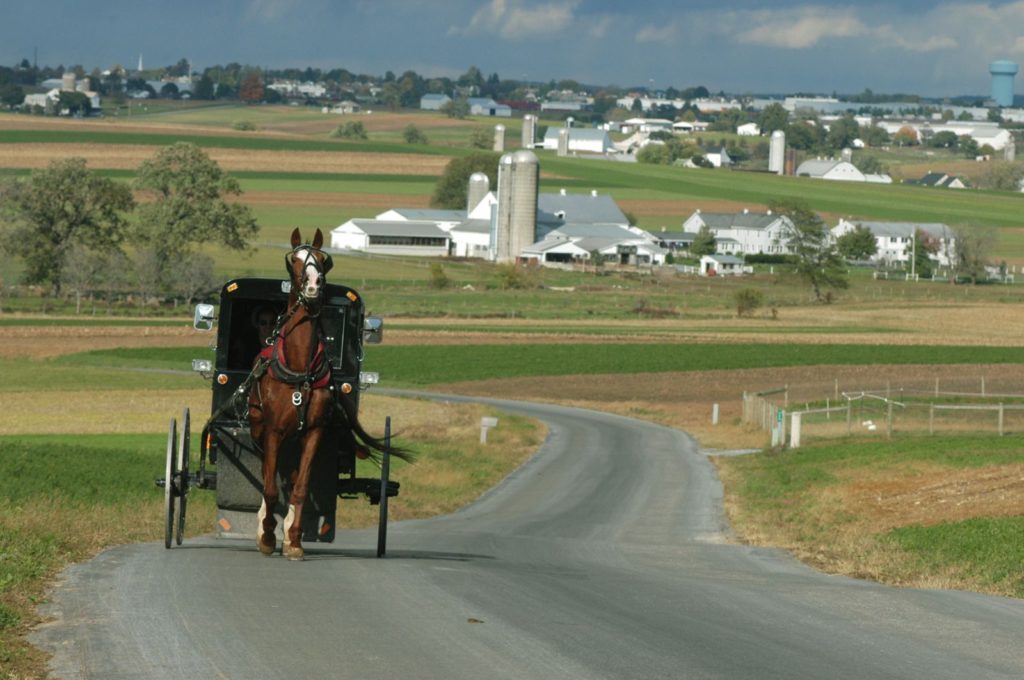 Horse and buggy on a farm road through the Amish countryside of Pennsylvania.