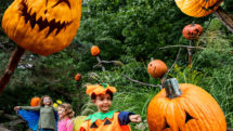 Kids in costume walk the Spooky Pumpkin Garden Trail during Fall-o-Ween at the New York Botanical Garden. Photo c. NYBG