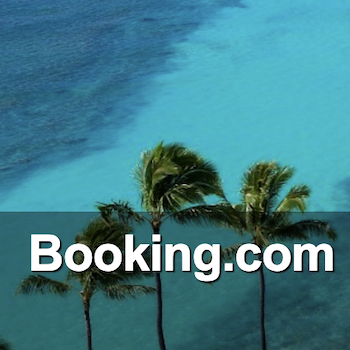 booking.com logo on palm trees