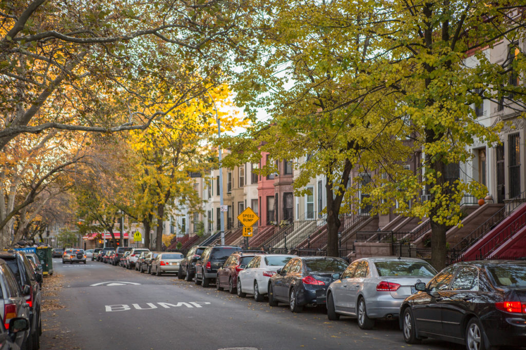 Quiet side street in Crown Heights, Brooklyn, in autumn.
