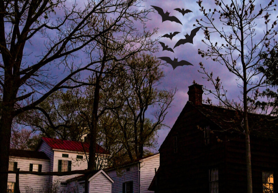 Bats fly over old house at Historic Richmond Town village on Staten Island, New York.