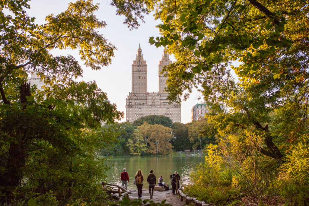 Upper West Side towers of the San Remo seen from Central Park, in autumn.