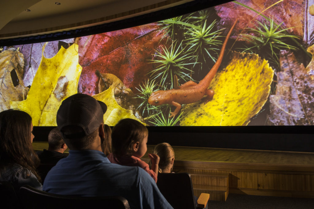 Families watch a nature show at Flammer Auditorium, The Wild Center, Tupper Lake, New York.