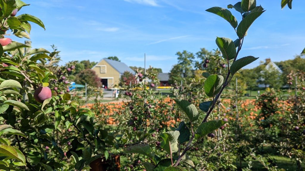 Dubois Farms is one of the most scenic Hudson Valley U-pick apple farms.