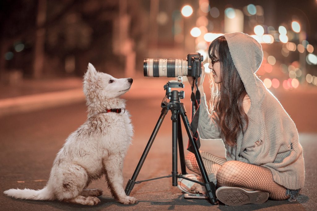 Girl with camera and tripod taking a portrait of a dog.