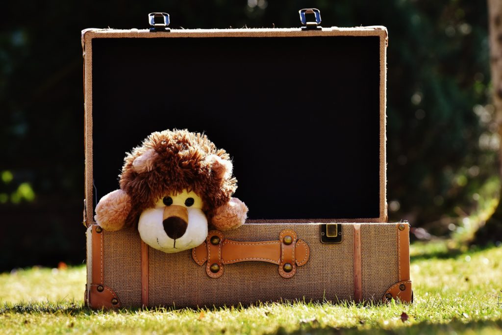 Stuffen animal sits in a suitcase on the lawn.