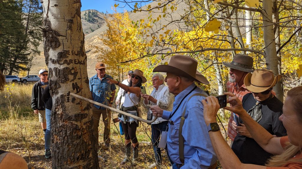 Veteran sheep rancher John Peavey points out arborglyphs carved on aspen trees in the Sawtooth National Forest outside Sun Valley.