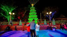 Family enjoying an illuminated Christmas tree and gardens in Orlando.